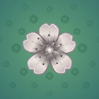 Sakura Flower #68614