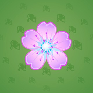 Sakura Flower #25972