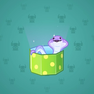 Snake Box #179244