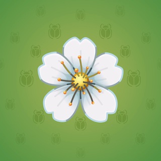 Sakura Flower #65162