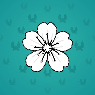Sakura Flower #66161