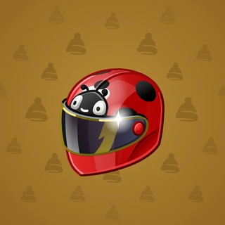 Neko Helmet #15523
