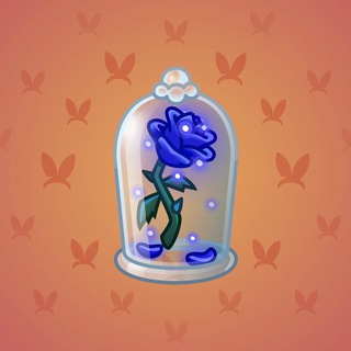 Eternal Rose #12591