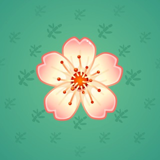 Sakura Flower #84906