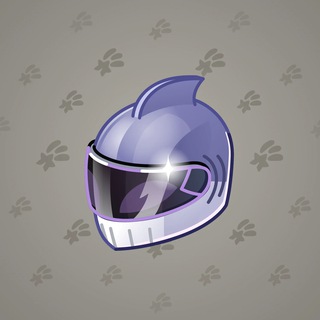 Neko Helmet #13679
