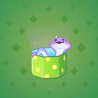 Snake Box #76304