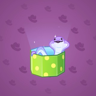 Snake Box #109402