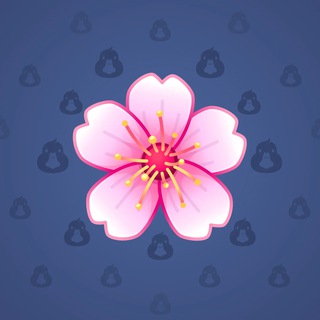 Sakura Flower #4990