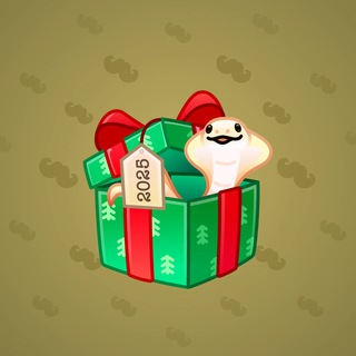 Snake Box #9358