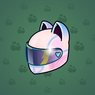 Neko Helmet #2304
