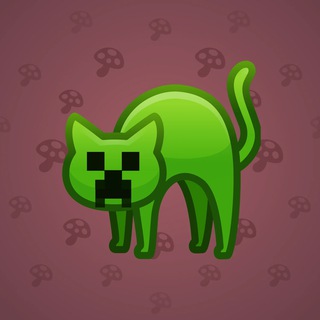 Scared Cat #13421
