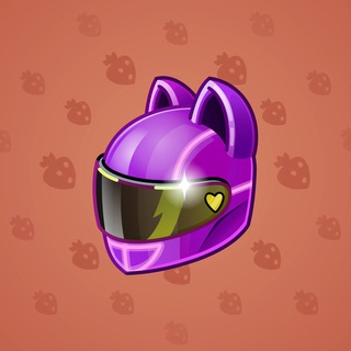 Neko Helmet #12705