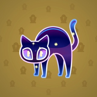 Scared Cat #17831