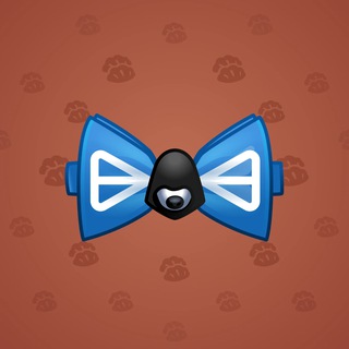 Bow Tie #14657