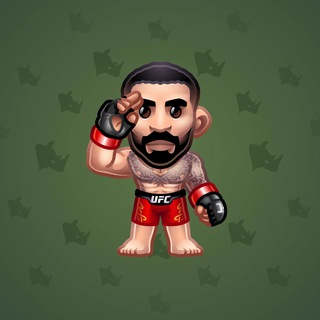 UFC Strike #30441