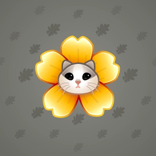 Meower