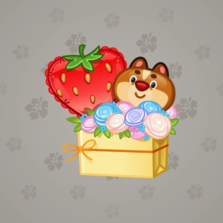 Joyful Bundle #11518