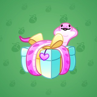 Snake Box #170072