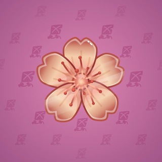 Sakura Flower #3862