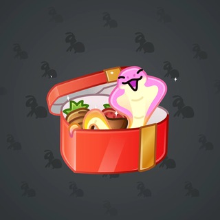 Snake Box #41822