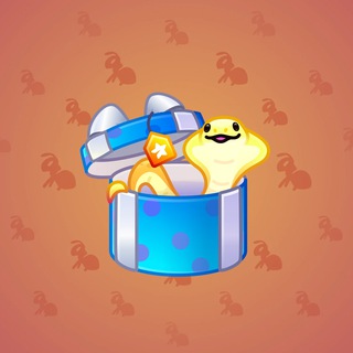 Snake Box #77340