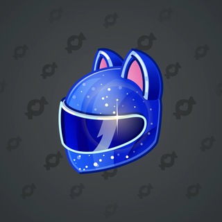 Neko Helmet #13493