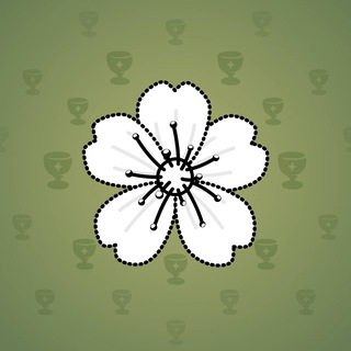 Sakura Flower #62759
