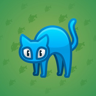Scared Cat #8607