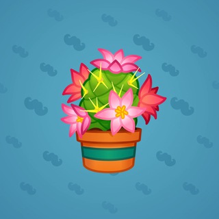 Cactus