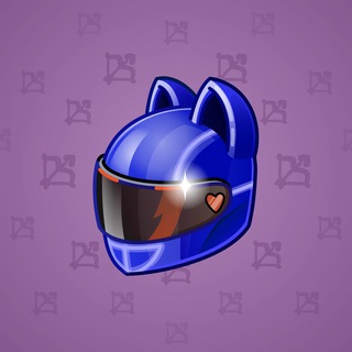 Neko Helmet #9299