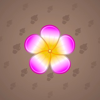Sakura Flower #37048