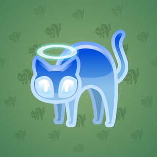 Scared Cat #3301