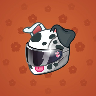 Neko Helmet #11071