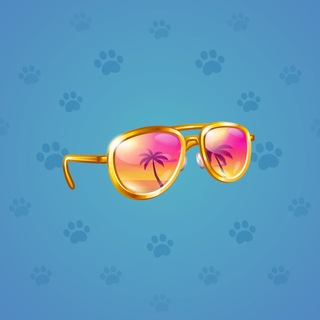 Durov’s Glasses #2578