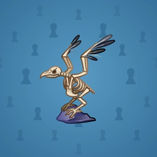 Rare Bird #1539