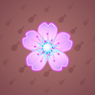Sakura Flower #66747