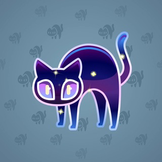 Scared Cat #16837