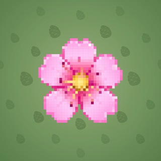 Sakura Flower #49797