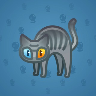 Scared Cat #14909