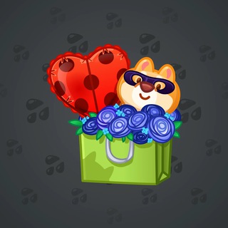 Joyful Bundle #23471