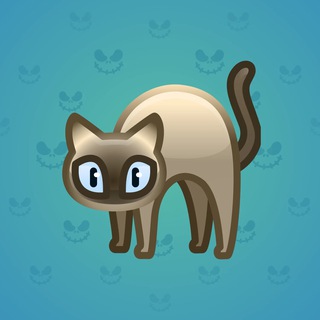Scared Cat #14931