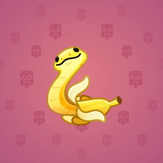 Pet Snake #182571
