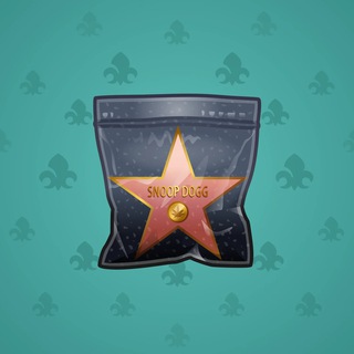 Swag Bag #14748