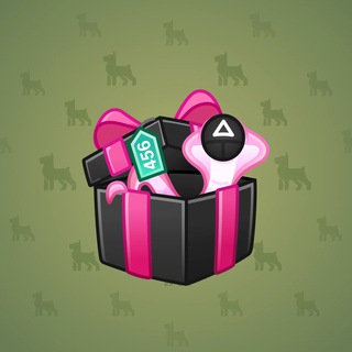 Snake Box #121381
