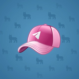 Durov’s Cap #204