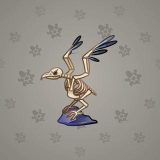 Rare Bird #8266