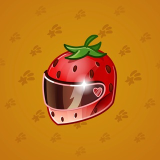 Neko Helmet #13205