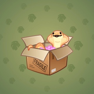 Snake Box #179343
