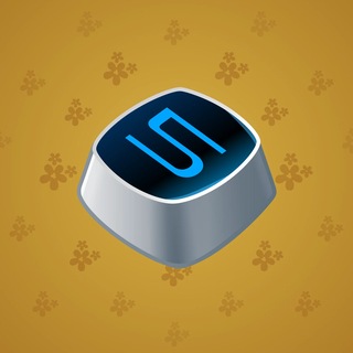 Input Key #134186