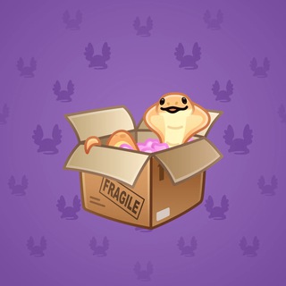 Snake Box #134753